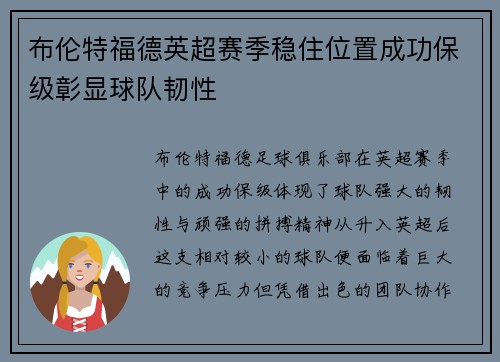 布伦特福德英超赛季稳住位置成功保级彰显球队韧性